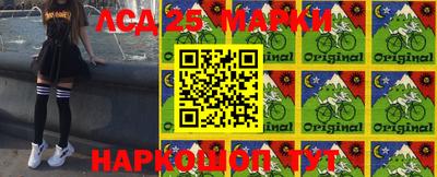 прущие грибы Будённовск