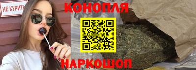 прущие грибы Будённовск