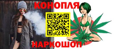 прущие грибы Будённовск