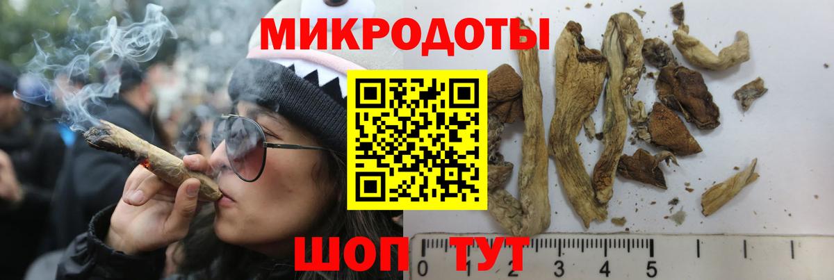 Псилоцибиновые грибы Psilocybe  Вход с VPN  Лосино-Петровский 