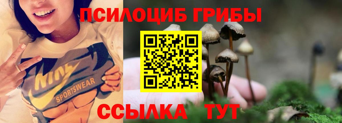 Псилоцибиновые грибы мицелий Лосино-Петровский